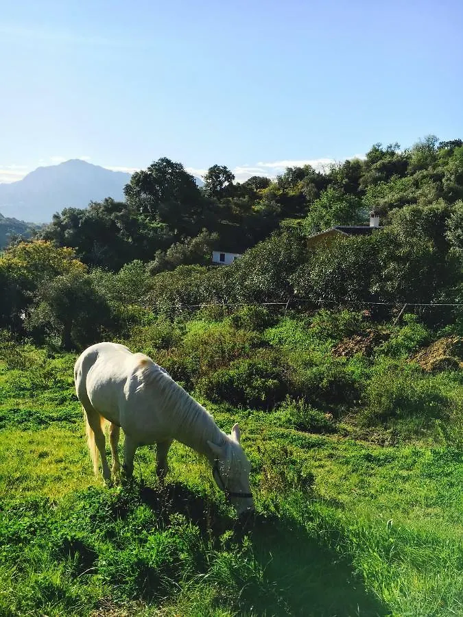 Holiday home Cortijo Arroyo Del Moro Villa Gaucin